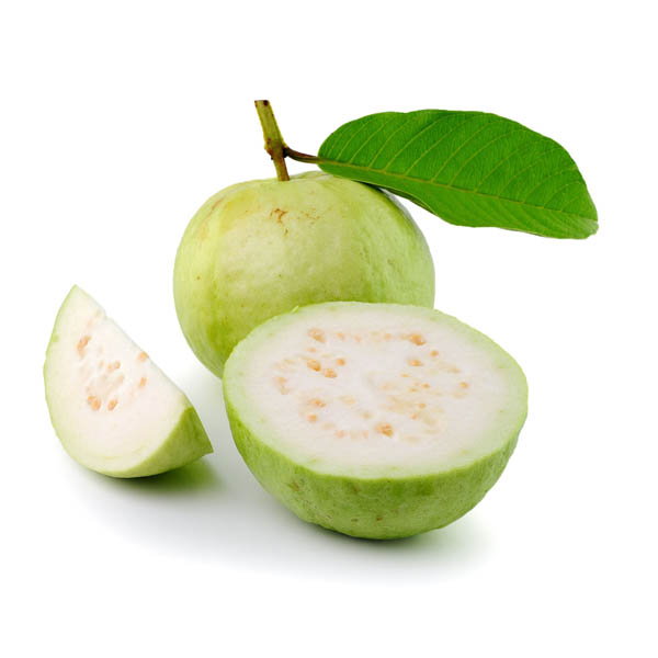 Guava-Grid